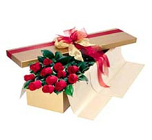 24 red roses in box