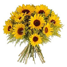 Aliflora Sunflowers